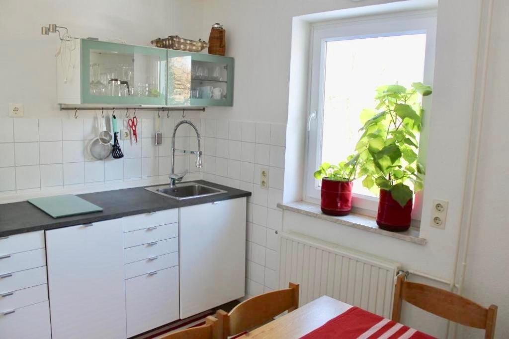 Ferienwohnung Zollhaus 26 Hohegeiß Exterior foto